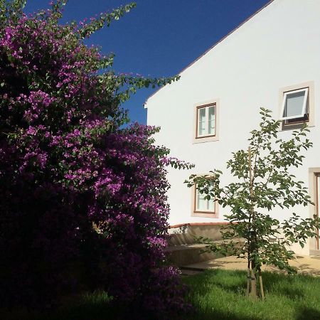 Apartamento Sobre Ribas 2|12 Coímbra Exterior foto